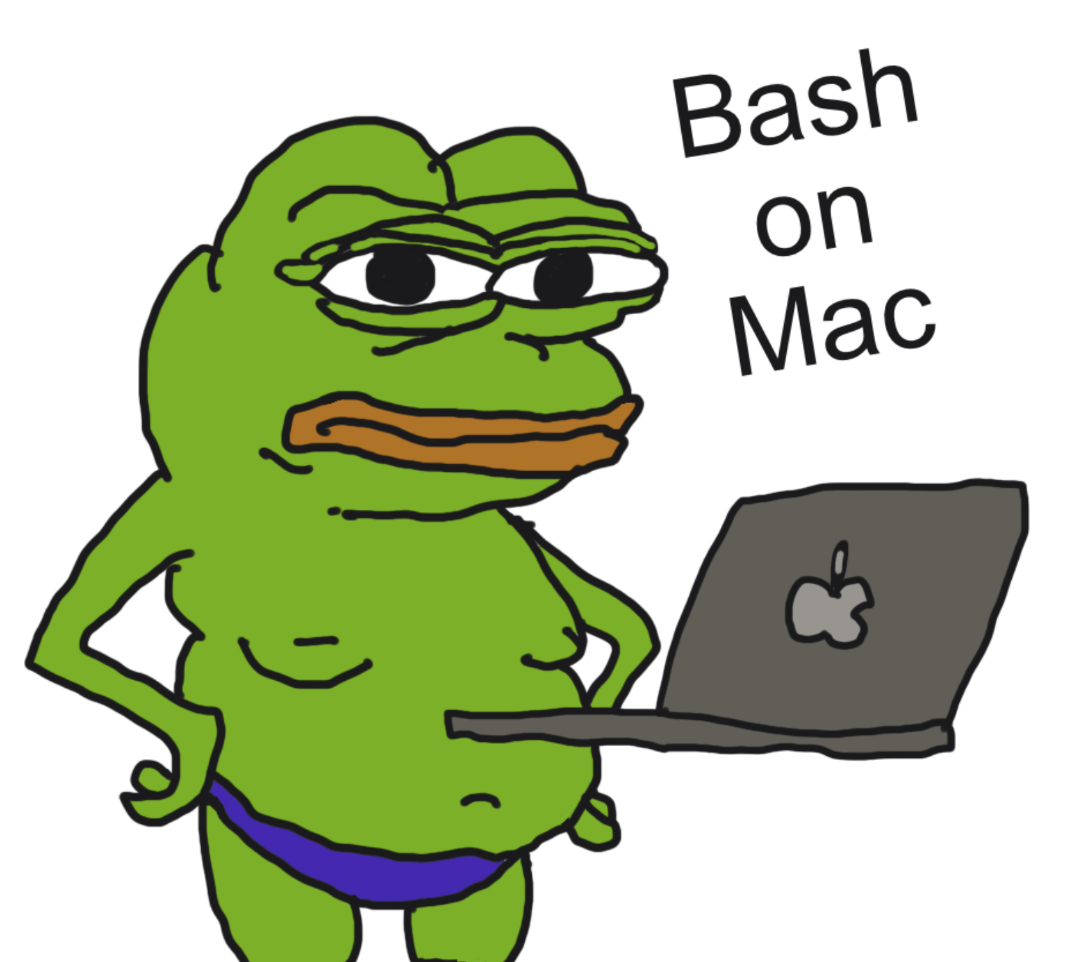 Bash on macOS Sonoma 14.2.1